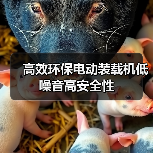 高效环保电动装载机低噪音高安全性