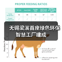 无锡梁溪首座绿色环保智慧工厂建成