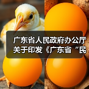 广东省人民政府办公厅关于印发《广东省“民生十大工程”五年行动计划（2023―2027年）》的通知