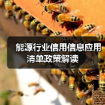 能源行业信用信息应用清单政策解读 能源行业信用信息应用清单政策解读