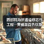 西部陆海新通道标志性工程――黄桶至百色铁路正式开建