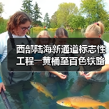 西部陆海新通道标志性工程――黄桶至百色铁路正式开建