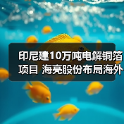印尼建10万吨电解铜箔项目 海亮股份布局海外 印尼建10万吨电解铜箔项目 海亮股份布局海外