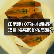 印尼建10万吨电解铜箔项目 海亮股份布局海外 印尼建10万吨电解铜箔项目 海亮股份布局海外