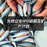 光伏企业IPO进展及扩产计划 光伏企业IPO进展及扩产计划
