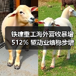 铁建重工海外营收暴增512% 驱动业绩稳步增长 铁建重工海外营收暴增512% 驱动业绩稳步增长