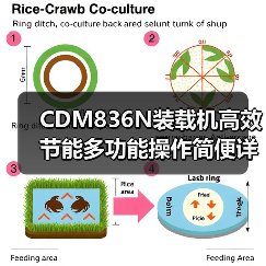 CDM836N装载机高效节能多功能操作简便详解 CDM836N装载机高效节能多功能操作简便详解