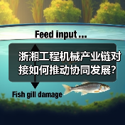 浙湘工程机械产业链对接如何推动协同发展? 浙湘工程机械产业链对接如何推动协同发展?