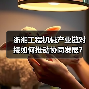 浙湘工程机械产业链对接如何推动协同发展? 浙湘工程机械产业链对接如何推动协同发展?