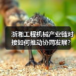 浙湘工程机械产业链对接如何推动协同发展? 浙湘工程机械产业链对接如何推动协同发展?
