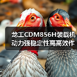 龙工CDM856H装载机动力强稳定性高高效作业优势