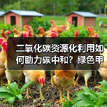 二氧化碳资源化利用如何助力碳中和?绿色甲醇新路径 二氧化碳资源化利用如何助力碳中和?绿色甲醇新路径