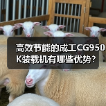 高效节能的成工CG950K装载机有哪些优势？