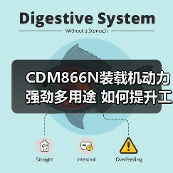 CDM866N装载机动力强劲多用途 如何提升工程效率? CDM866N装载机动力强劲多用途 如何提升工程效率?