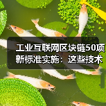 工业互联网区块链50项新标准实施:这些技术将如何改变未来? 工业互联网区块链50项新标准实施:这些技术将如何改变未来?