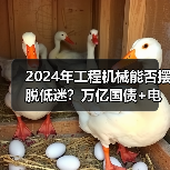 2024年工程机械能否摆脱低迷?万亿国债+电动化双驱动解析 2024年工程机械能否摆脱低迷?万亿国债+电动化双驱动解析