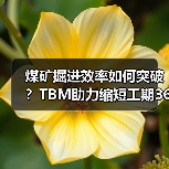 煤矿掘进效率如何突破?TBM助力缩短工期36个月! 煤矿掘进效率如何突破?TBM助力缩短工期36个月!