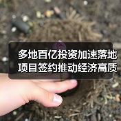 多地百亿投资加速落地 项目签约推动经济高质量发展