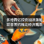 多地百亿投资加速落地 项目签约推动经济高质量发展