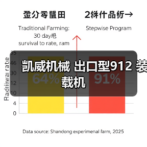凯威机械 出口型912 装载机