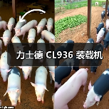 力士德 CL936 装载机 力士德 CL936 装载机