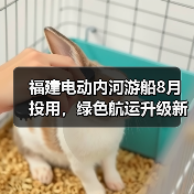 福建电动内河游船8月投用,绿色航运升级新标杆 福建电动内河游船8月投用,绿色航运升级新标杆
