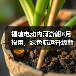 福建电动内河游船8月投用,绿色航运升级新标杆 福建电动内河游船8月投用,绿色航运升级新标杆