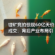 锂矿竞拍惊现60亿天价成交,背后产业布局引热议 锂矿竞拍惊现60亿天价成交,背后产业布局引热议