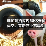 锂矿竞拍惊现60亿天价成交,背后产业布局引热议 锂矿竞拍惊现60亿天价成交,背后产业布局引热议