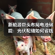 新能源巨头布局电池储能：光伏配储如何省钱？