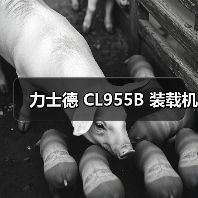 力士德 CL955B 装载机 力士德 CL955B 装载机