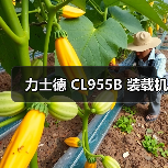 力士德 CL955B 装载机 力士德 CL955B 装载机