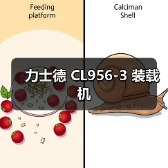 力士德 CL956-3 装载机 力士德 CL956-3 装载机