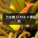力士德 CL956-3 装载机 力士德 CL956-3 装载机