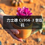 力士德 CL956-3 装载机 力士德 CL956-3 装载机