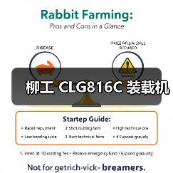 柳工 CLG816C 装载机 柳工 CLG816C 装载机