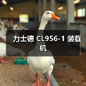 力士德 CL956-1 装载机 力士德 CL956-1 装载机