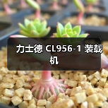 产品推荐