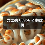 力士德 CL956-2 装载机 力士德 CL956-2 装载机