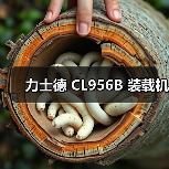 力士德 CL956B 装载机