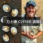 力士德 CL956B 装载机