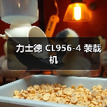 力士德 CL956-4 装载机 力士德 CL956-4 装载机