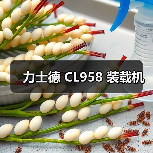 力士德 CL958 装载机