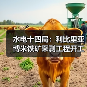 水电十四局:利比里亚博米铁矿采剥工程开工! 水电十四局:利比里亚博米铁矿采剥工程开工!