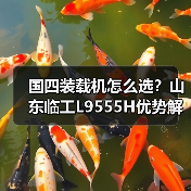 国四装载机怎么选?山东临工L9555H优势解析 国四装载机怎么选?山东临工L9555H优势解析