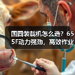 国四装载机怎么选?655F动力强劲,高效作业省心耐用 国四装载机怎么选?655F动力强劲,高效作业省心耐用