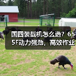 国四装载机怎么选?655F动力强劲,高效作业省心耐用 国四装载机怎么选?655F动力强劲,高效作业省心耐用
