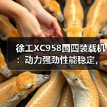 徐工XC958国四装载机:动力强劲性能稳定,高效作业首选 徐工XC958国四装载机:动力强劲性能稳定,高效作业首选