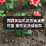 国四装载机高效省油更可靠 高性能选择推荐 国四装载机高效省油更可靠 高性能选择推荐