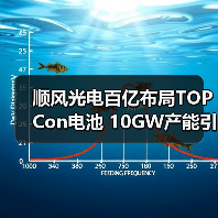 顺风光电百亿布局TOPCon电池 10GW产能引领新能源升级 顺风光电百亿布局TOPCon电池 10GW产能引领新能源升级